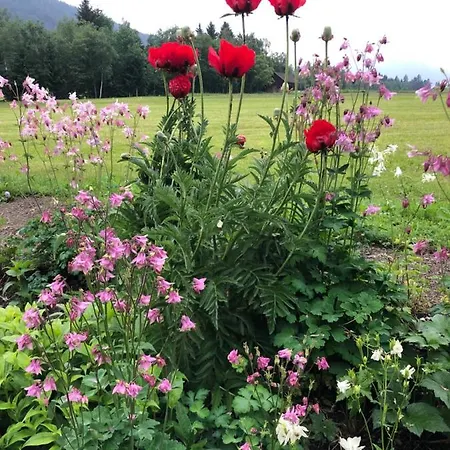 Lassendorf Apartment Hermagor-Pressegger See