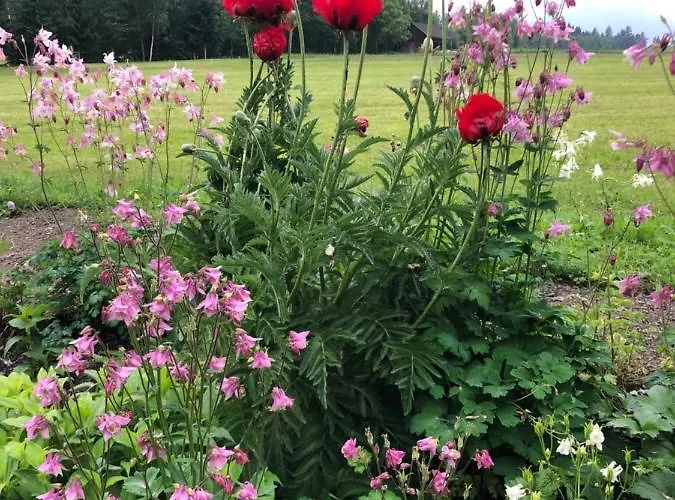 Lassendorf Apartament Hermagor-Pressegger See