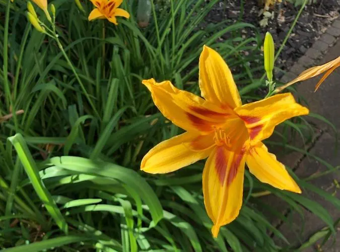 Lassendorf * Hermagor-Pressegger See